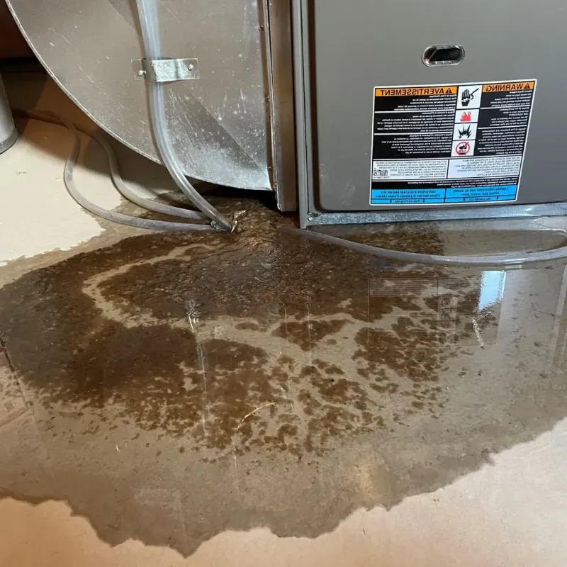 Pipe Burst and Leak Restoration in Alma, NE