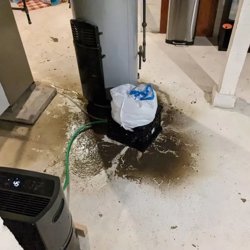 Sewage Backup Cleanup Service in Alma, NE